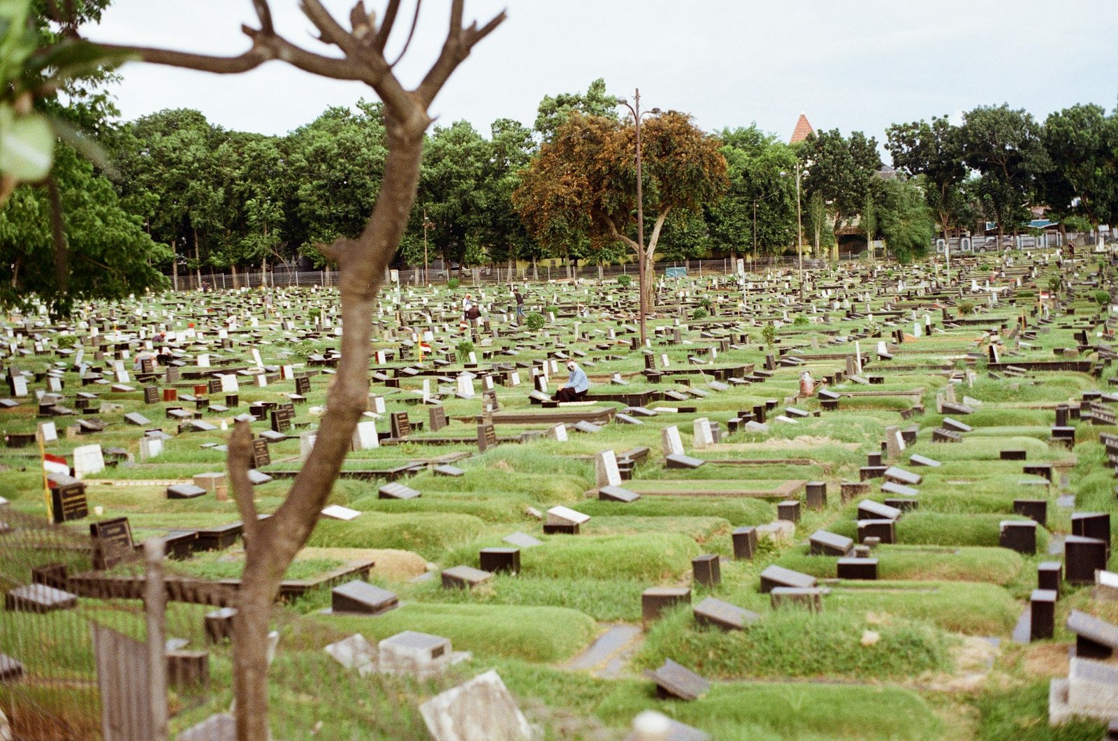 Choisir une entreprise funéraire : chercher la clarté avant tout