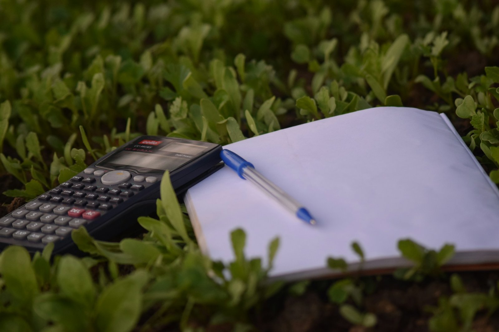 ne calculatrice, un stylo et un cahier posés sur de l’herbe, symbolisant l’étude en plein air.